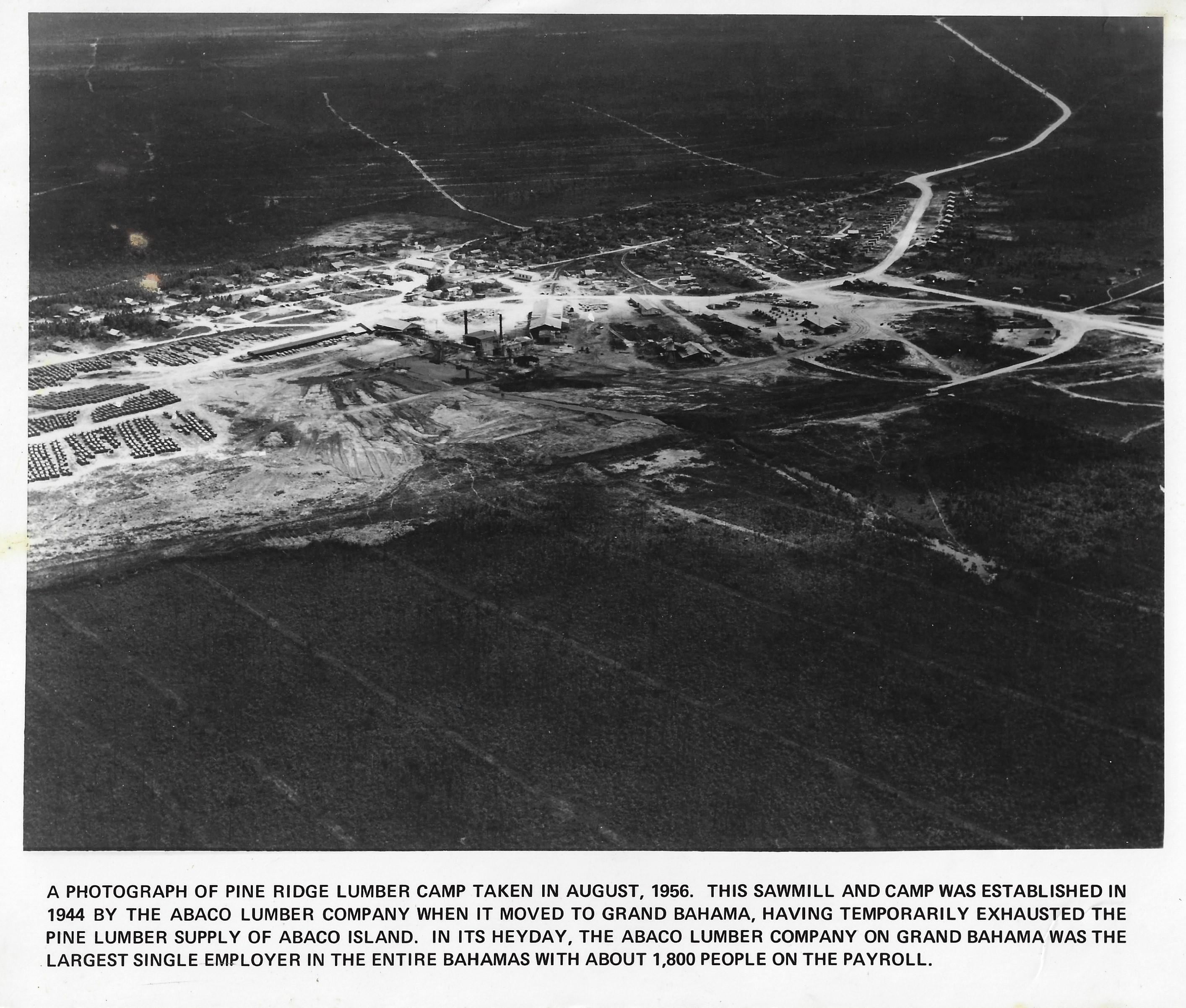 Aerial view of Pine Ridge Lumber Camp, August 1956